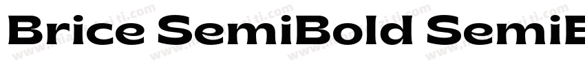 Brice SemiBold SemiExpanded字体转换